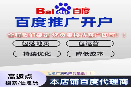百度SEM推广策略：成功案例解析